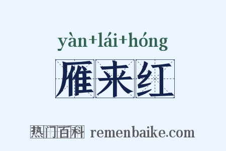 雁来红是什么意思的图片